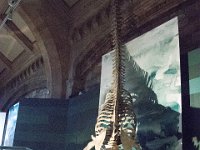 London NH Museum and Tower London 7-16-17